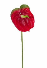 Anthurium Spray 77cm